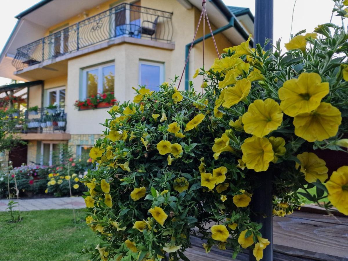 Przystanek Pod Skalkami Apartment Lesko Exterior foto